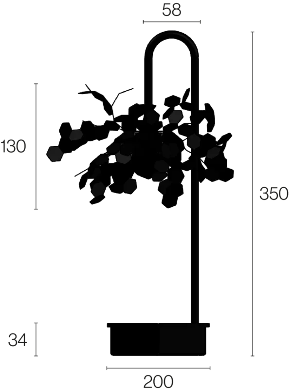 ANDROMEDA RICARICABILE